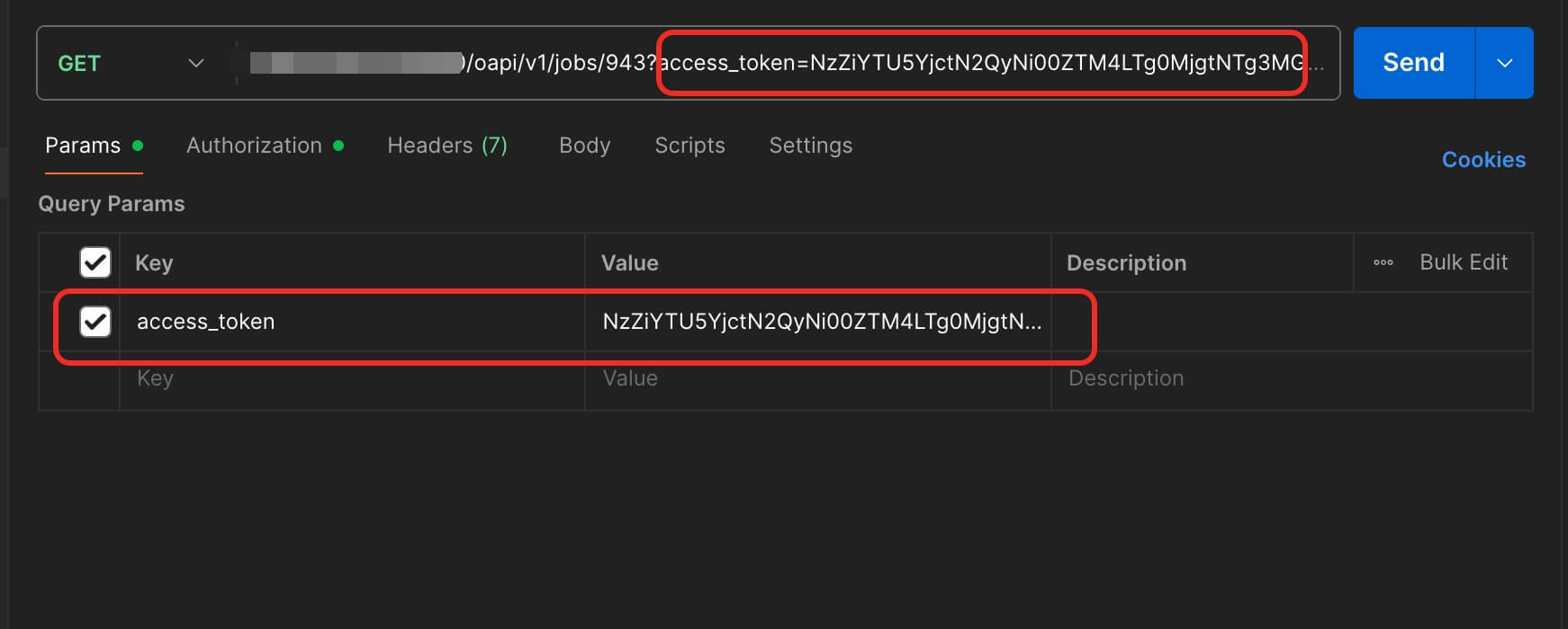 add-token-to-open-api-query-parameter